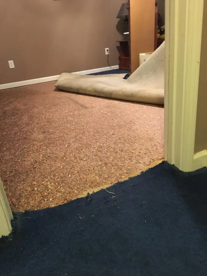 Carpet pad removal revealing water damage during Water Mitigation Services in Mehlville