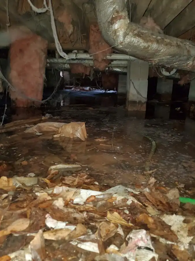 Crawl space flood assessment for Commercial Water Damage Restoration in Mehlville