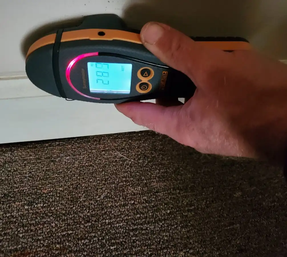 Moisture detection at baseboard during Sewage Cleanup & Sanitation in Mehlville